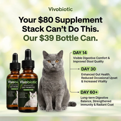 Vivobiotic: Advanced Cat Probiotic vivobiotics 