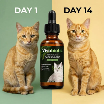 Vivobiotic: Advanced Cat Probiotic vivobiotics 